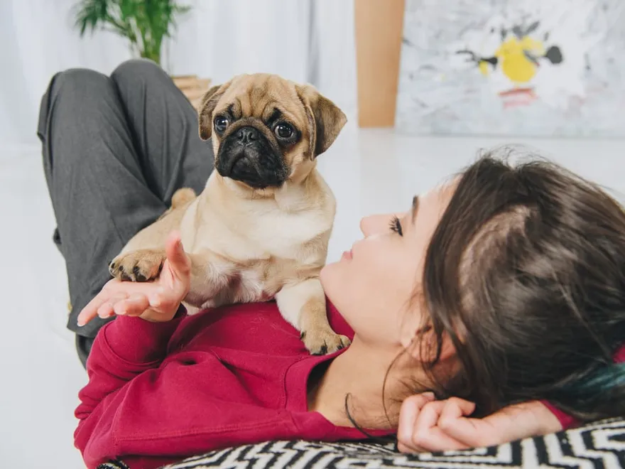 Ocean Paws - old featured image